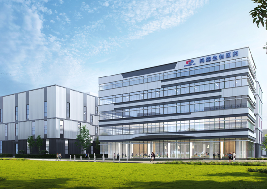 Emei shan Hongsen Pharmaceutical Co., LTD.